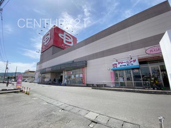 高崎市吉井町池第31号棟(ベイシア吉井店)