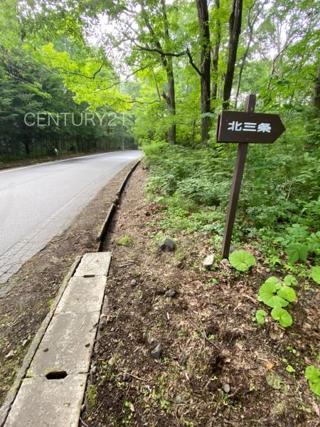 吾妻郡嬬恋村大字鎌原の土地