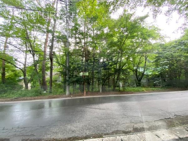 吾妻郡嬬恋村大字鎌原の土地