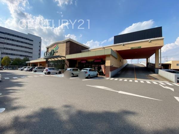 コスモ前橋昭和町(フレッセイクラシード若宮)