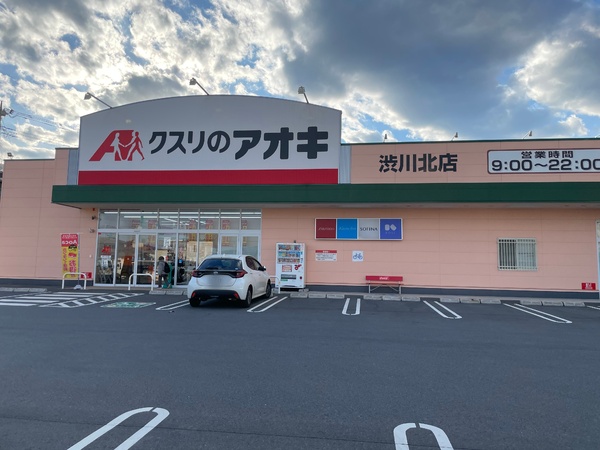 渋川市四つ角1号棟(クスリのアオキ渋川北店)