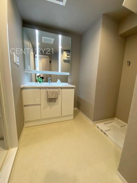 エトワール高崎常盤町(洗面台・洗面所)