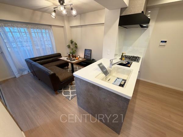 ライオンズマンション高崎