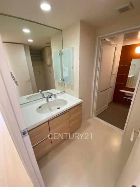 モナーク伊勢崎(洗面台・洗面所)