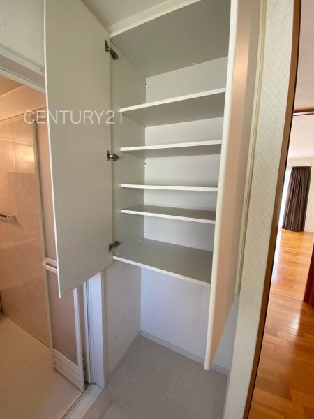 高崎市三ツ寺町の中古一戸建て(洗面台・洗面所)