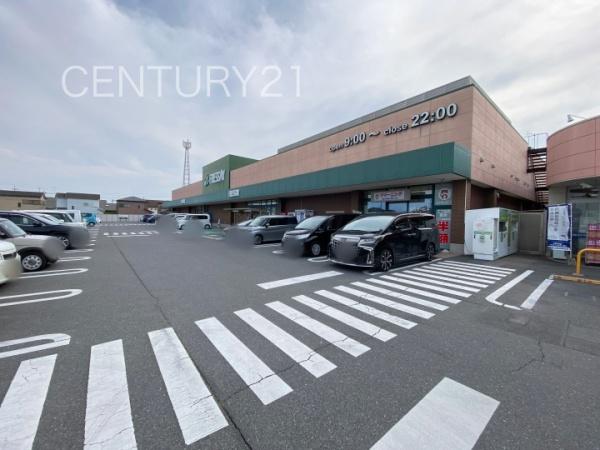玉村斎田第２期４号棟(フレッセイ玉村店)