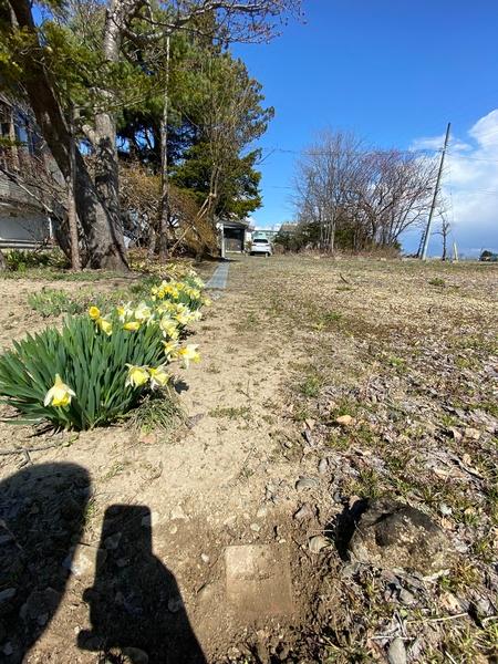 石狩郡当別町栄町の土地