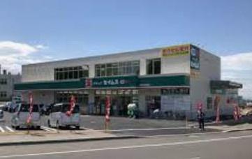 岩見沢市五条東18丁目の土地(ドラッグセイムス岩見沢2条東店)