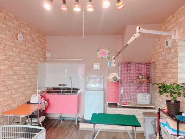 札幌市北区新川四条３丁目の中古一戸建て