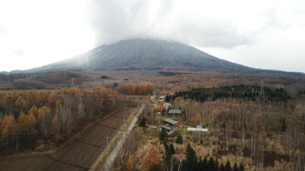 京極町字川西　約3000坪　土地