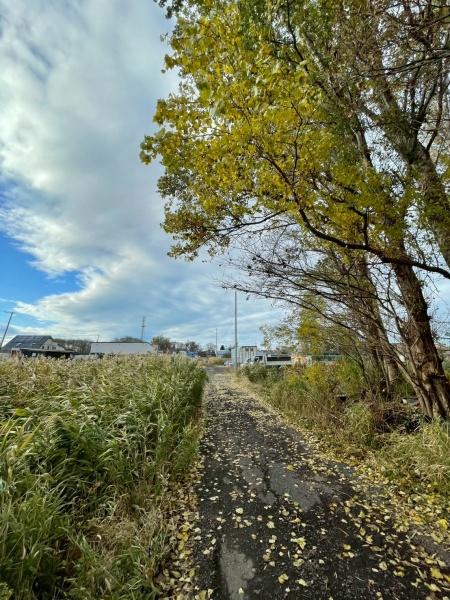 手稲前田　土地