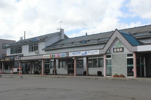 ダイアパレス永山公園通(苗穂駅(JR函館本線))