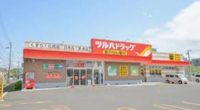 札幌市手稲区稲穂三条6丁目の土地(ツルハドラッグ手稲星置駅前店)