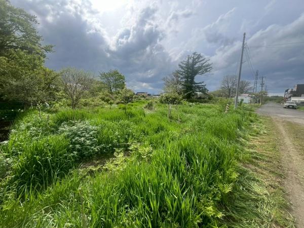 中沼町　土地