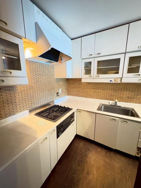 クリーンリバー山の手Ⅳ