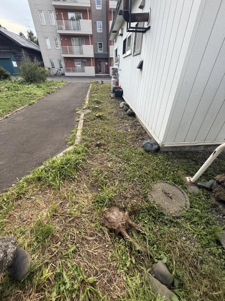 恵庭市有明町６丁目の土地