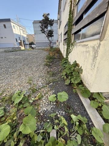 札幌市白石区菊水六条２丁目の土地