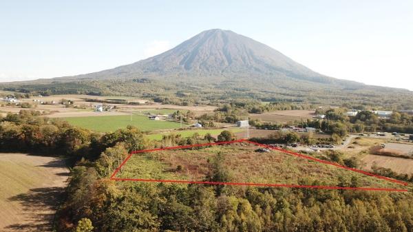 倶知安町字高砂　山林