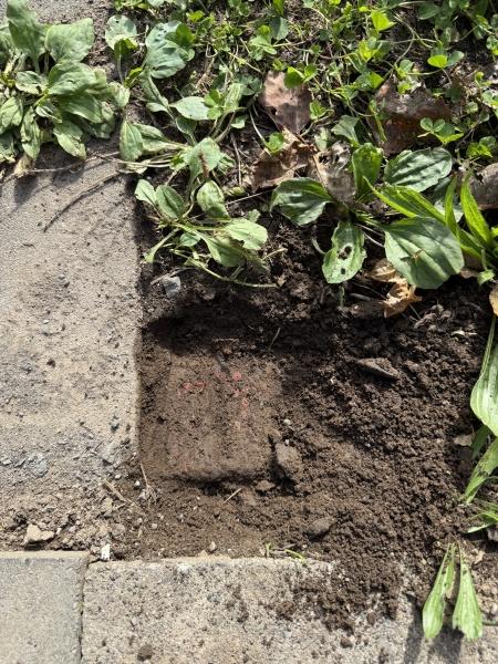 虻田郡ニセコ町字ニセコの中古一戸建て