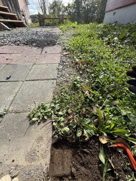 虻田郡ニセコ町字ニセコの中古一戸建て