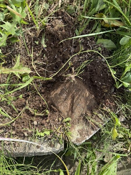 虻田郡ニセコ町字ニセコの中古一戸建て