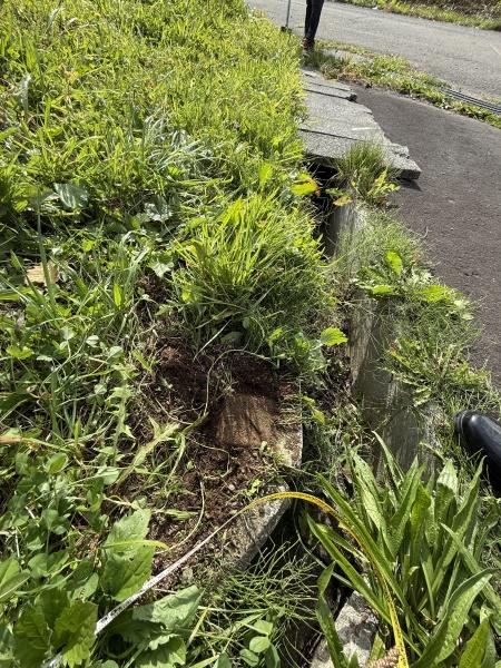 虻田郡ニセコ町字ニセコの中古一戸建て