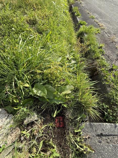 虻田郡ニセコ町字ニセコの中古一戸建て