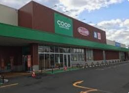 チサンマンション本郷通り(コープさっぽろほんどおり店)