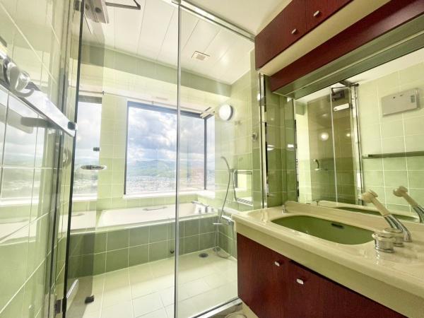 パームヒル藻岩