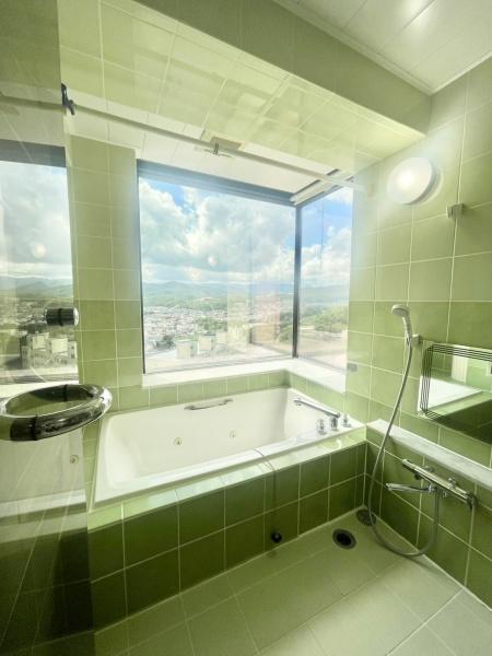 パームヒル藻岩