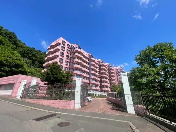 パームヒル藻岩