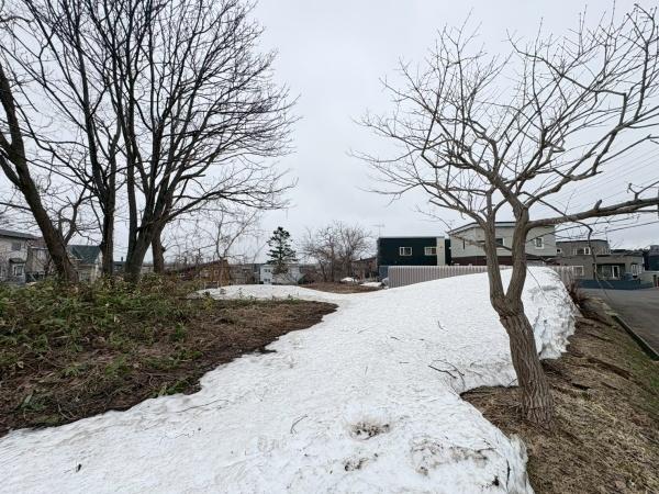 星野町　土地　建築条件無し