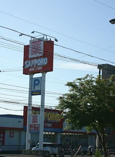 ダイアパレス元町南(サツドラ北19条店)