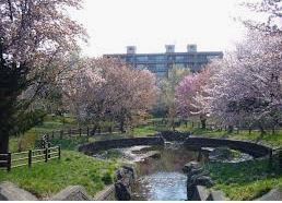 札幌市豊平区福住二条８丁目の中古一戸建て(福住小川公園)