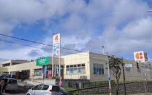 ライオンズマンション富岡(コープさっぽろみどり店)
