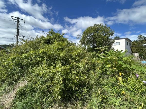 虻田郡洞爺湖町泉の売土地