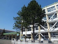 札幌市西区福井５丁目の土地(札幌市立福井野小学校)