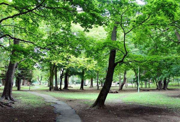 札幌市中央区宮の森二条１３丁目の中古一戸建て(円山公園)