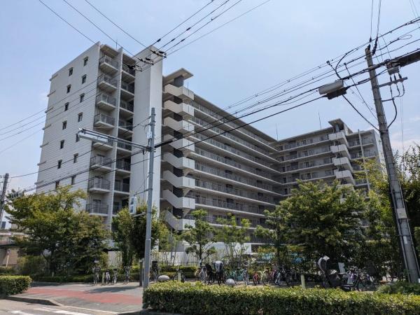 シャリエ平野
