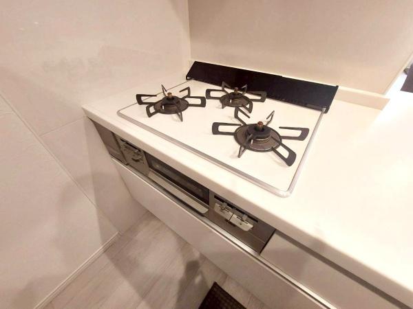 大阪市阿倍野区文の里４丁目の中古一戸建て