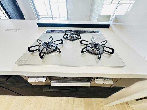 ルイシャトレ平野喜連Ⅱ番館