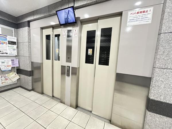 ハイマートすみれ