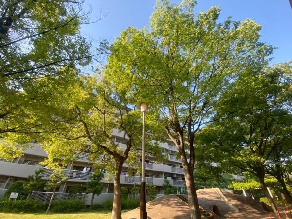 京橋南コーポ３号棟