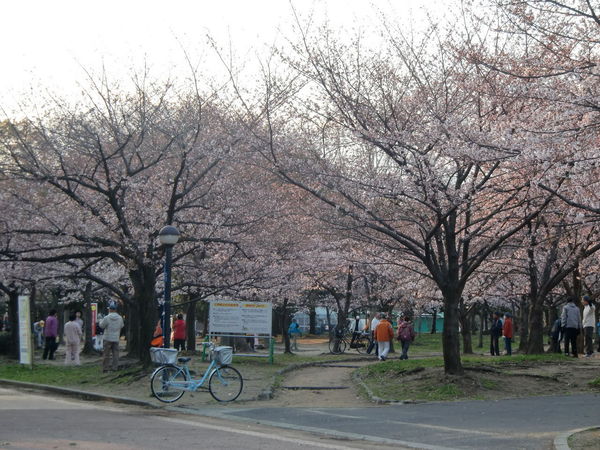 大阪市住吉区長居西１丁目の中古一戸建て(長居公園)