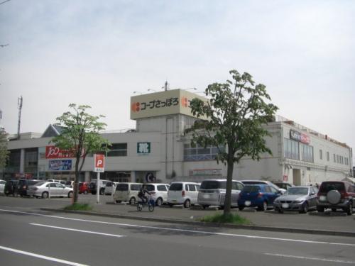 札幌市清田区平岡公園東11丁目の中古一戸建て(コープさっぽろ平岡店)