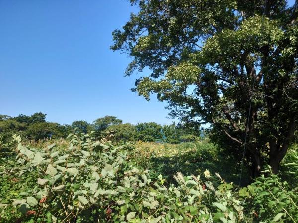 銭函1丁目売り土地