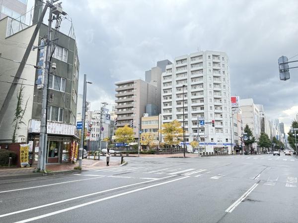 シルキーハイツ