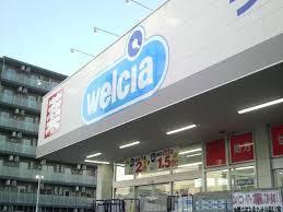 松戸市竹ケ花の新築一戸建(ウエルシア松戸樋野口店)