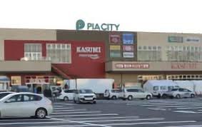 柏市中新宿1丁目の新築一戸建(カスミフードスクエア柏中新宿店)