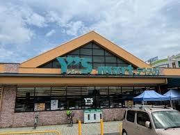 松戸市大橋の中古一戸建て(ワイズマートディスカ北国分店)